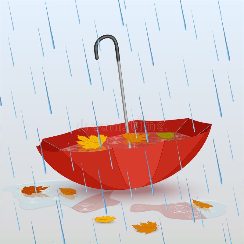 Umbrella in the rain, puddles of water and fallen yellow leaves