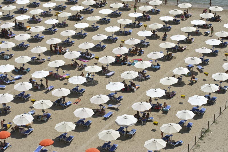 Umbrellas on a beach