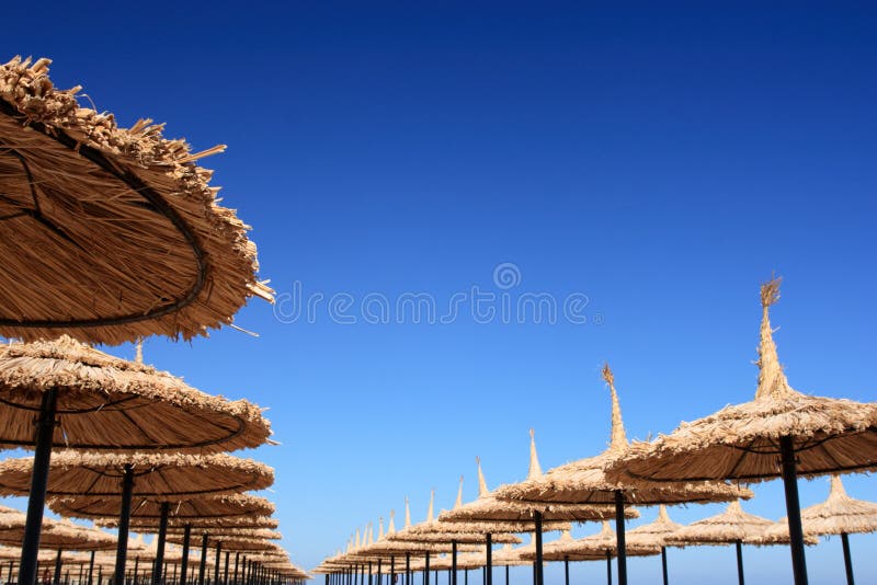 Umbrellas on the beach