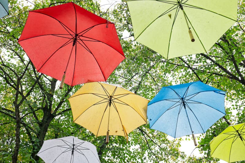 Fall .Umbrellas with Leaves Hanging on a Branches in an Autumn Forest