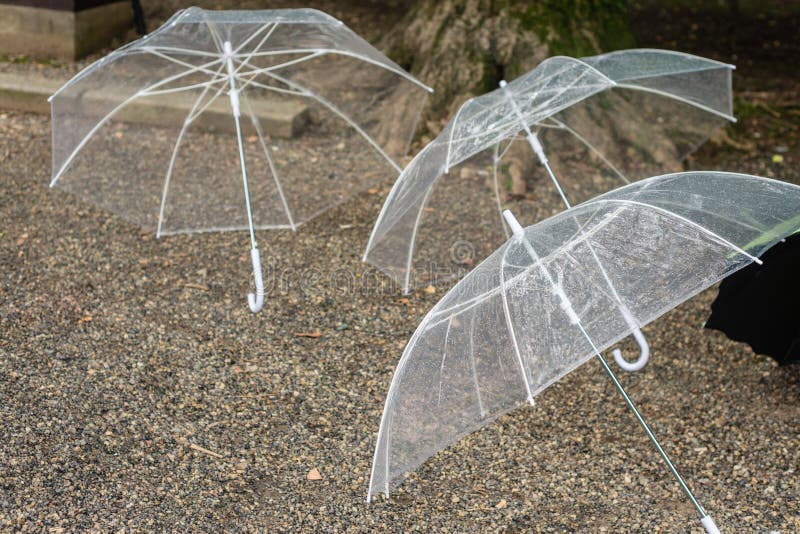 Umbrellas on the ground stock photo. Image of plastic 143306362