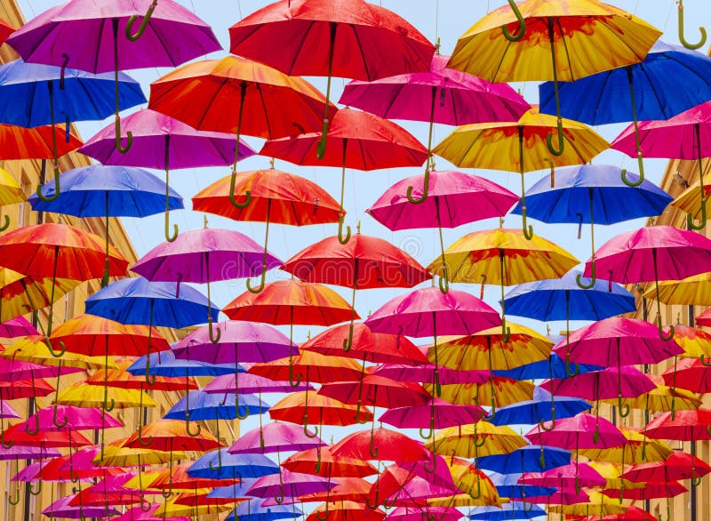 Umbrellas Hanging in Rows Over a Street Stock Image Image of