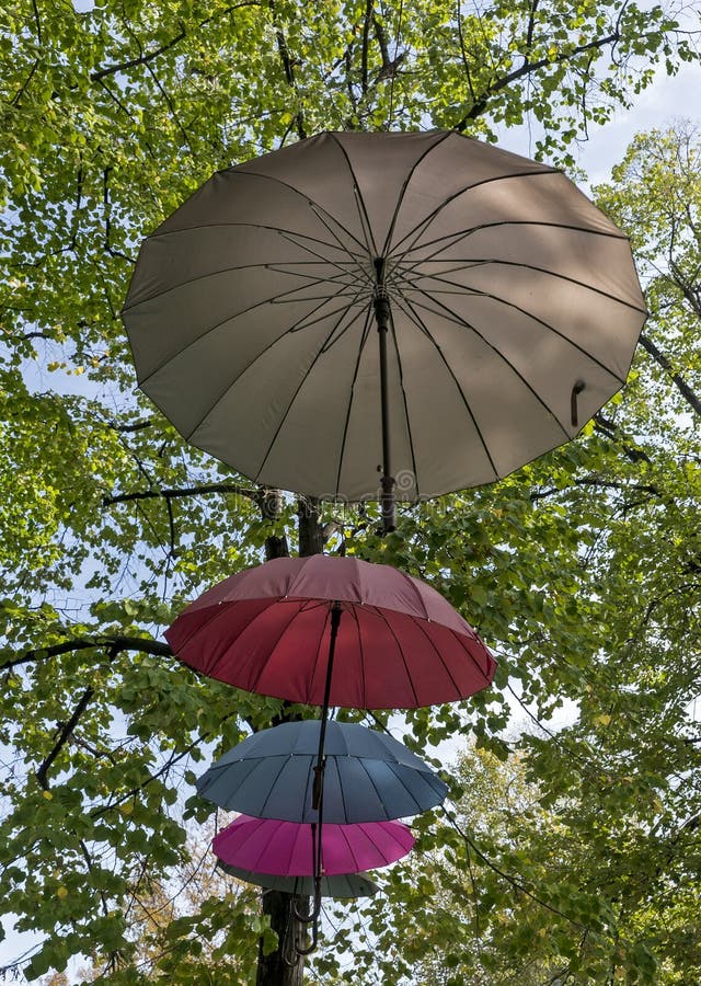 Umbrellas hanging on trees stock photo. Image of hanging 103852138