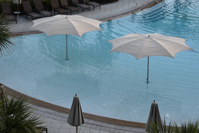 Umbrellas in the pool stock photo. Image of provide 138321200
