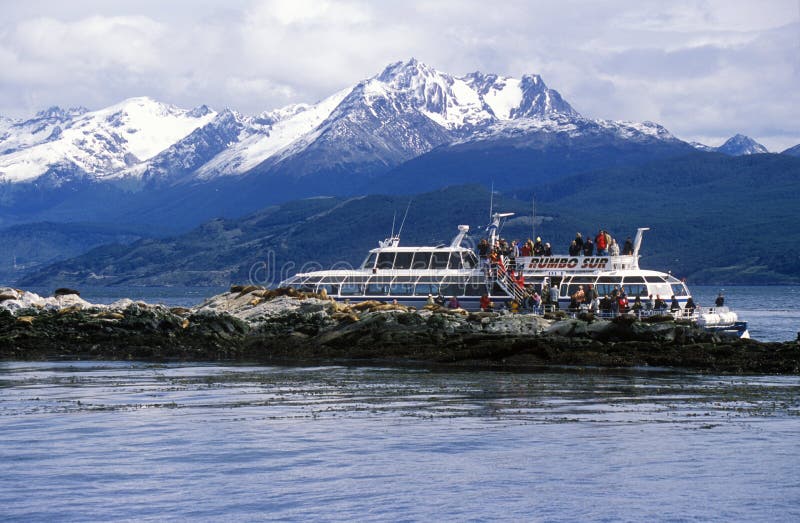 Umwelttourismus-Boot und südliche See-Löwen nähern sich Spürhund-Kanal und überbrücken Inseln, Ushuaia, Süd-Argentinien stockfoto Umwelttourismus-Boot und südliche See-Löwen nähern sich Spürhund-Kanal und überbrücken Inseln, Ushuaia, Süd-Argentinien stockfoto