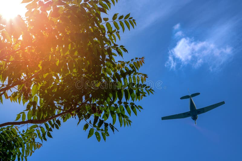 Un aereo volante sui precedenti di bello cielo di estate e su un raggio del sole che fa il suo modo attraverso il fogliame verde immagini stock Un aereo volante sui precedenti di bello cielo di estate e su un raggio del sole che fa il suo modo attraverso il fogliame verde immagini stock