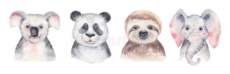 Un afiche con un panda bebé, pereza, jirafa y koala Dibujo de tiras acuáticas elefantes animales tropicales Jungla stock de ilustración