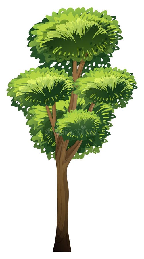 Un albero alto royalty illustrazione gratis Un albero alto royalty illustrazione gratis