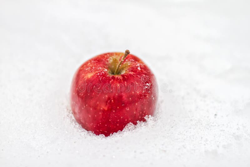 Un Apple rosso fotografia stock Un Apple rosso fotografia stock