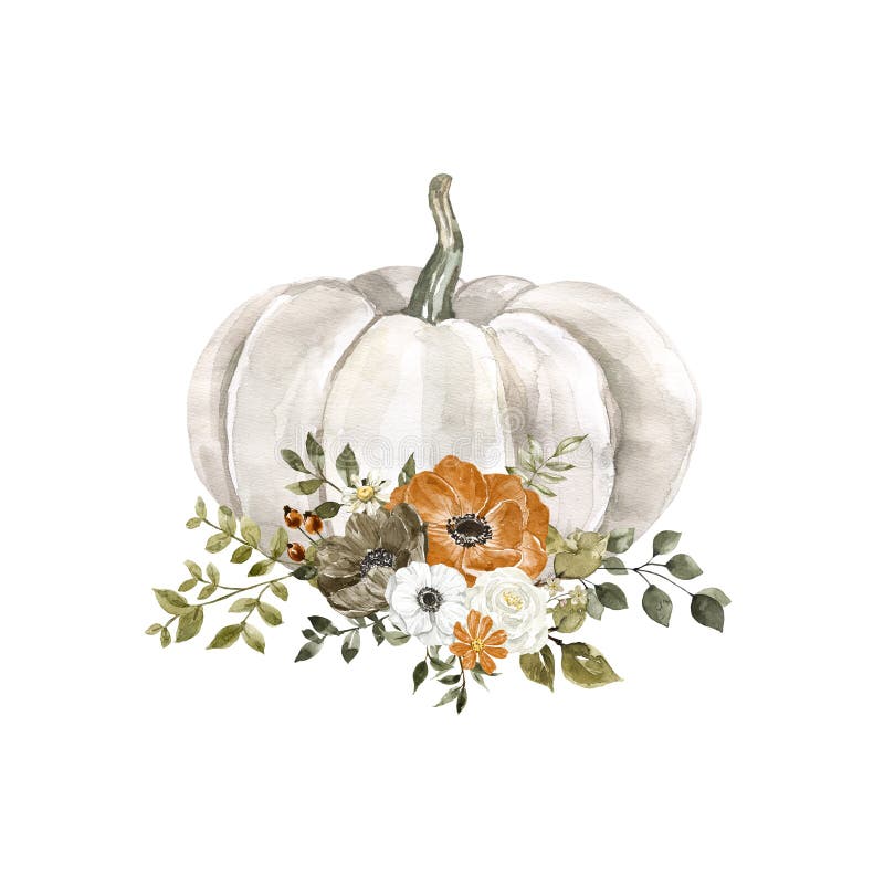Un aranjament de cădere frumos cu flori de dovleac alb și frunze de pictură cu acuarelă izolată. decor Ziua Recunoștinței stock illustration