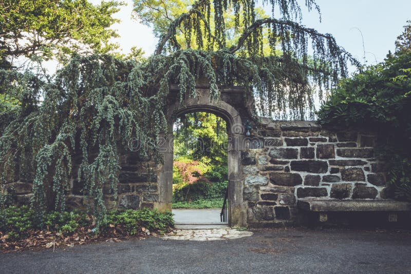 Un arbore frumos din piatră, cu vârtejuri ornamentale în parcul național Ringwood nj în setarea de recoltă royalty free stock images