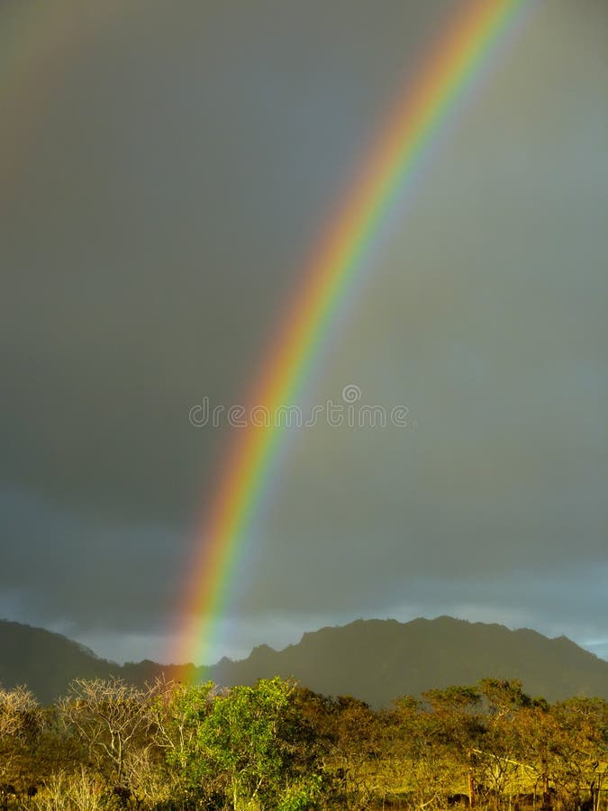 Un arco iris aparece después de la precipitación en la isla hawaiana de Kauai imágenes de archivo libres de regalías Un arco iris aparece después de la precipitación en la isla hawaiana de Kauai imágenes de archivo libres de regalías