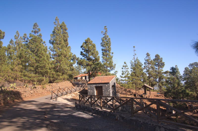 Recreational area with houses and services in the heart of the Canarian pine forest on the island of Tenerife. Recreational area with houses and services in the heart of the Canarian pine forest on the island of Tenerife