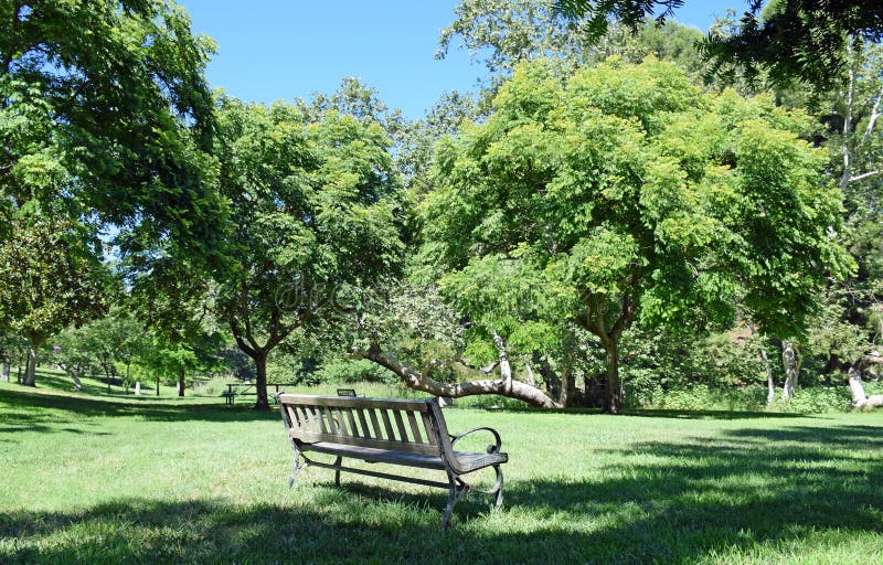 Un banc de invitation entouré par des arbres dans un arrangement comme un parc photo libre de droits Un banc de invitation entouré par des arbres dans un arrangement comme un parc photo libre de droits
