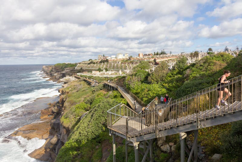 Un basculador femenino corre encima de pasos en el camino costero de las playas del este, Bronte, Sydney, Australia fotografía de archivo Un basculador femenino corre encima de pasos en el camino costero de las playas del este, Bronte, Sydney, Australia fotografía de archivo