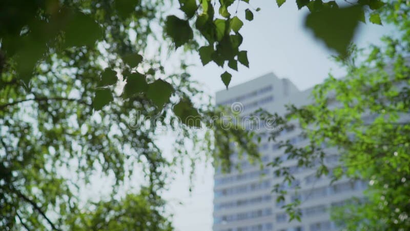 Un beau bâtiment moderne à plusieurs niveaux par la verdure. Un bâtiment joliment moderne avec de grandes fenêtres vertes rouges banque de vidéos
