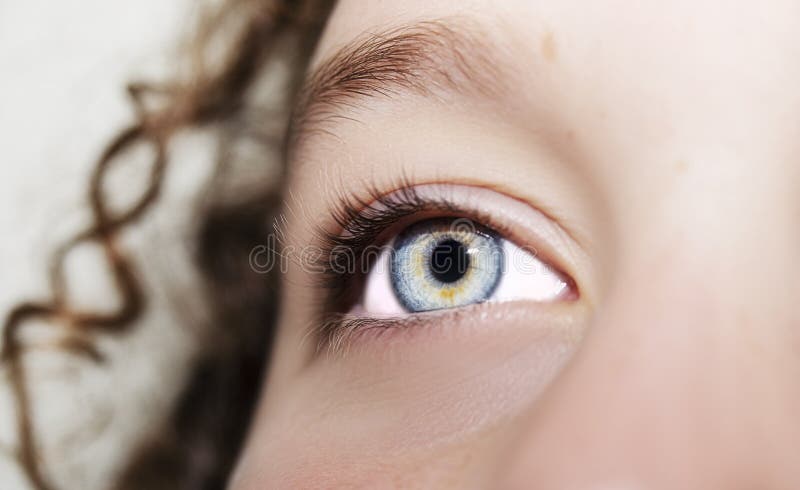 Un bel oeil perspicace de regard Fermez-vous vers le haut du tir photo stock Un bel oeil perspicace de regard Fermez-vous vers le haut du tir photo stock
