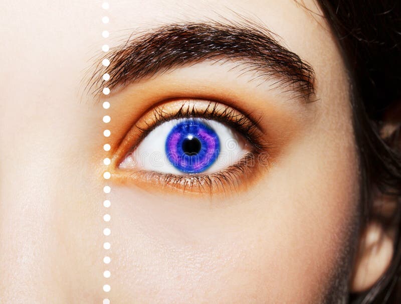 Un bel oeil perspicace de regard Fermez-vous vers le haut du tir photographie stock Un bel oeil perspicace de regard Fermez-vous vers le haut du tir photographie stock