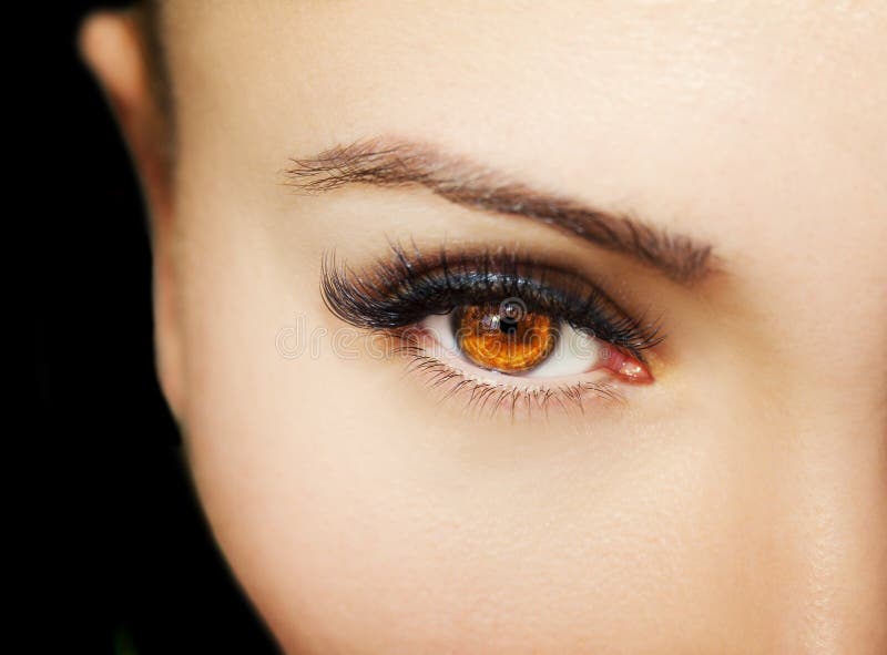 Un bel oeil perspicace du ` s de femme de regard Fermez-vous vers le haut du tir photos libres de droits Un bel oeil perspicace du ` s de femme de regard Fermez-vous vers le haut du tir photos libres de droits