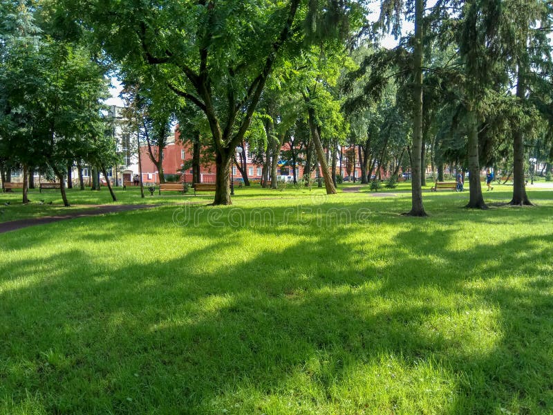 Un bello parco verde con erba verde e gli alberi immagine stock Un bello parco verde con erba verde e gli alberi immagine stock