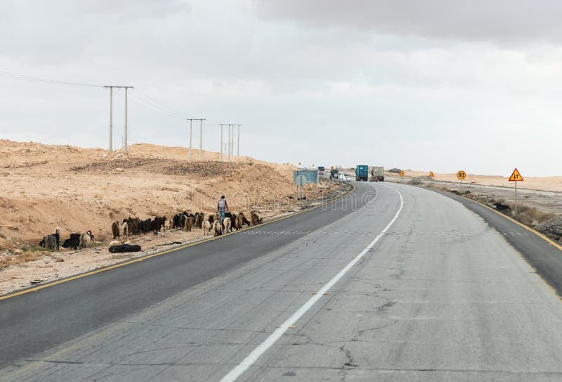 Un berger mène un petit troupeau de chèvres le long du côté l'itinéraire interurbain près de la ville de Maan en Jordanie photos stock Un berger mène un petit troupeau de chèvres le long du côté l'itinéraire interurbain près de la ville de Maan en Jordanie photos stock