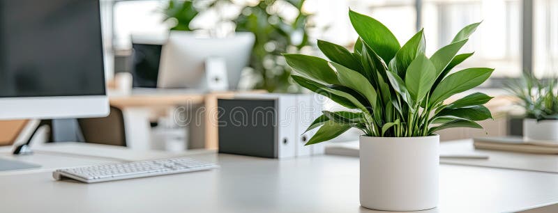 Un birou modern, cu birouri de calculatoare și verdeață, scăldate în lumina naturală, îmbunătățește atmosfera spațiului de lucru royalty free stock image