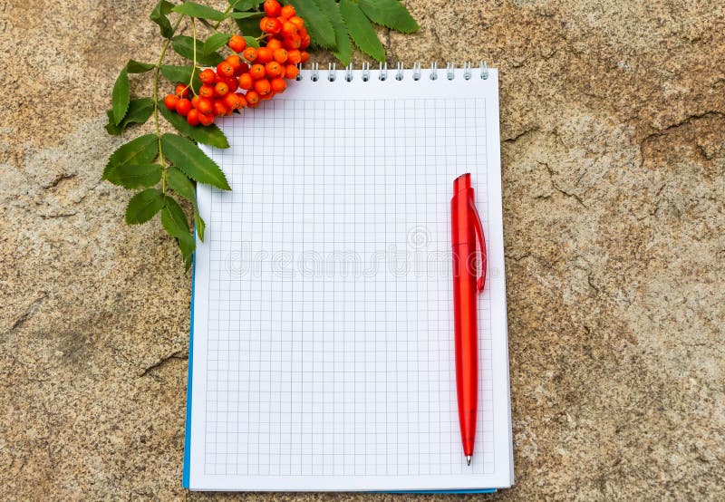 Un bloc-notes de papier carré avec un ressort blanc avec un stylo bille rouge se trouve sur une surface en pierre jaune et a un a photo stock Un bloc-notes de papier carré avec un ressort blanc avec un stylo bille rouge se trouve sur une surface en pierre jaune et a un a photo stock