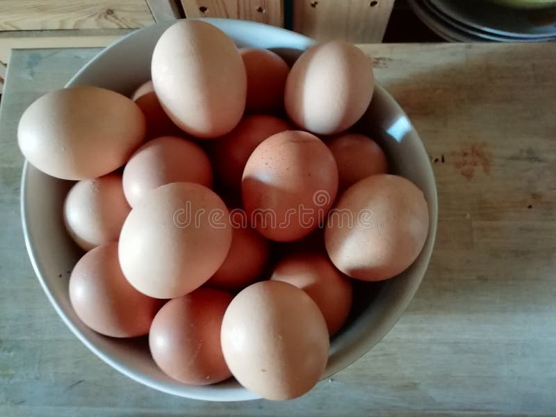 Un bol de huevos frescos orgánicos de granja