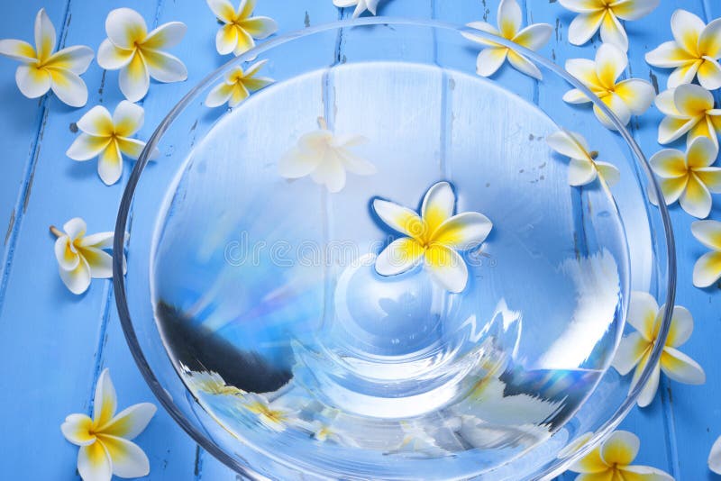 A glass bowl filled with water and frangipani flowers on a blue painted wood background and many more flowers. Can be paired with similar image No. 30168929. A glass bowl filled with water and frangipani flowers on a blue painted wood background and many more flowers. Can be paired with similar image No. 30168929