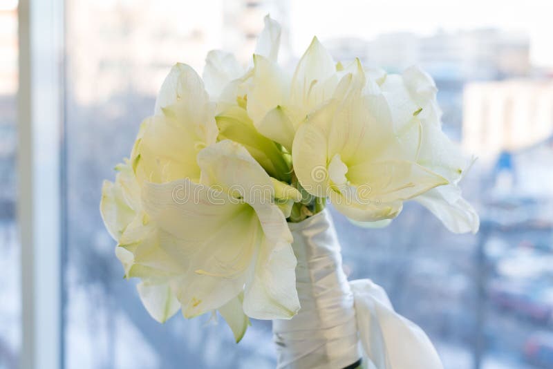 Un bouquet d'Amarilis blanc Nuptiale, célébration et concept de Birhtday Fond photographie stock Un bouquet d'Amarilis blanc Nuptiale, célébration et concept de Birhtday Fond photographie stock