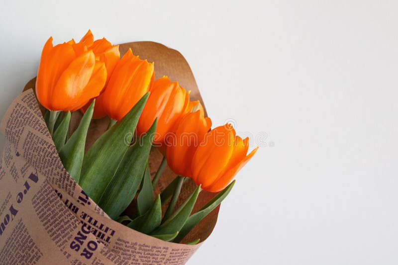 Un bouquet des tulipes rouges Un cadeau à un jour du ` s de femme de tulipe jaune fleurit Ressort Juste plu en fonction Foyer sél photographie stock