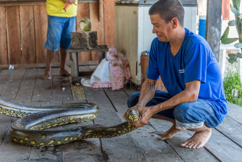 Ребенок держит змею. Пацан держит змею. Фото мальчик держит змею. Green Anaconda.
