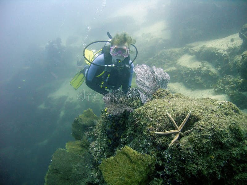 Un buceador en el Océano Pacífico de Cabo San Lucas, México foto de archivo libre de regalías Un buceador en el Océano Pacífico de Cabo San Lucas, México foto de archivo libre de regalías
