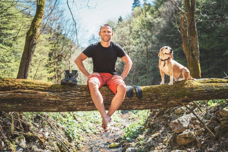 Un bărbat care zâmbește și care stă pe un copac căzut peste râul pădurii muntoase cu câinele lui de beagle în timp ce el așteaptă stock photos