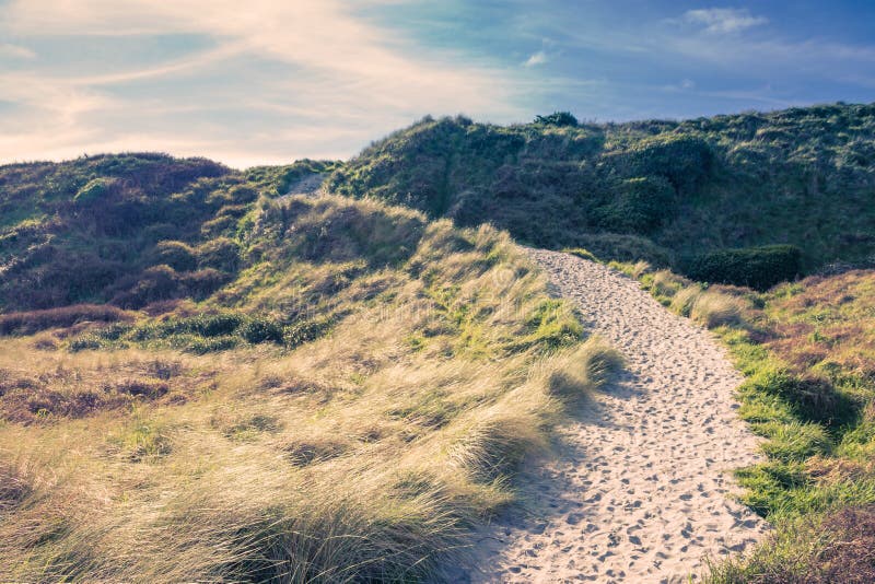 Un camino arenoso que lleva la manera a la playa de Wharariki imagen de archivo libre de regalías Un camino arenoso que lleva la manera a la playa de Wharariki imagen de archivo libre de regalías