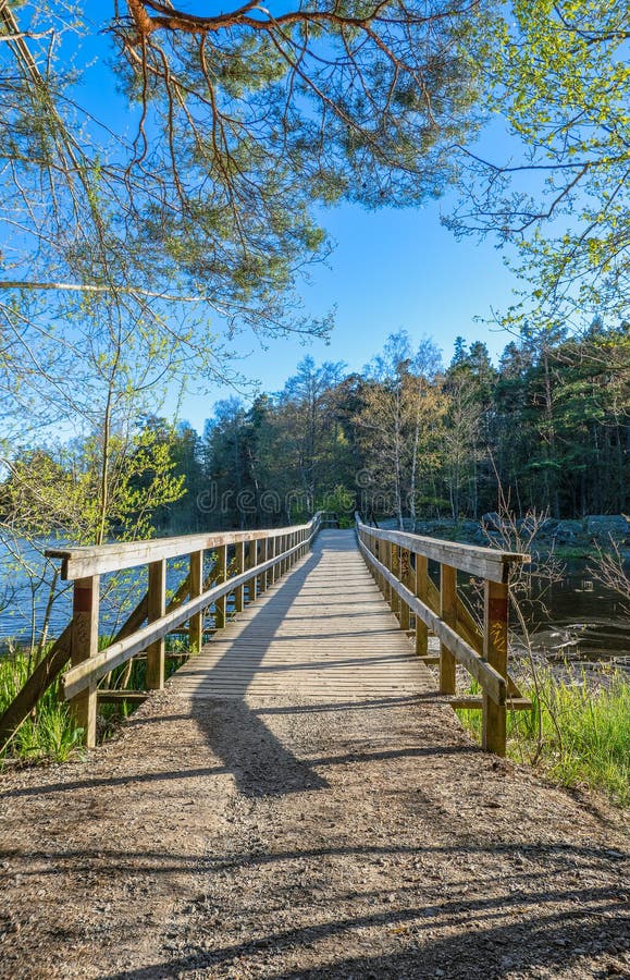 Un camino sereno a través de la naturaleza fotografía de archivo libre de regalías