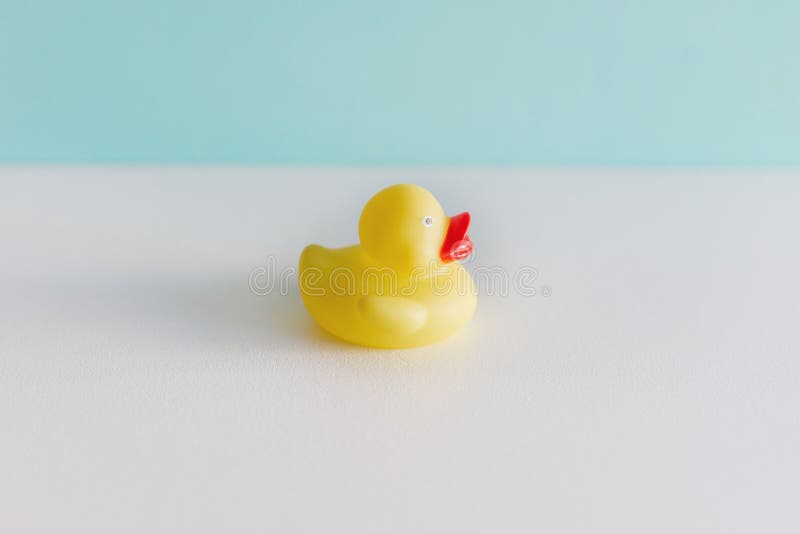 Un canard en caoutchouc jaune d'isolement sur le fond blanc avec la bonne direction Jouet de Bath Vue sup?rieure photo stock Un canard en caoutchouc jaune d'isolement sur le fond blanc avec la bonne direction Jouet de Bath Vue sup?rieure photo stock