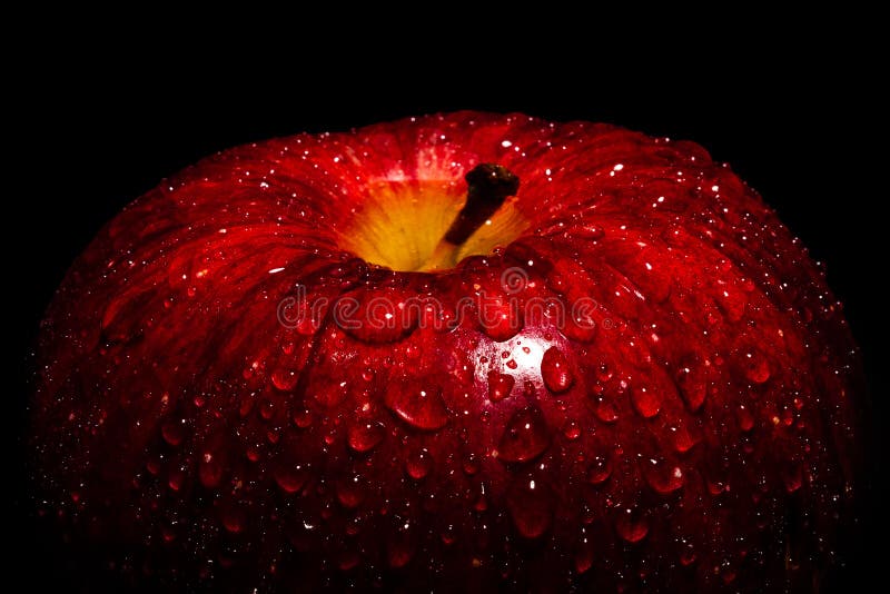 A Frame filling Macro image of a vibrant Red apple covered in water drops beading on the peel.  This is a high contrast image with a strong highlight on the front of the fruit.  Featuring  1/3 frame of negative space in black above the apple for copy writing. A Frame filling Macro image of a vibrant Red apple covered in water drops beading on the peel.  This is a high contrast image with a strong highlight on the front of the fruit.  Featuring  1/3 frame of negative space in black above the apple for copy writing