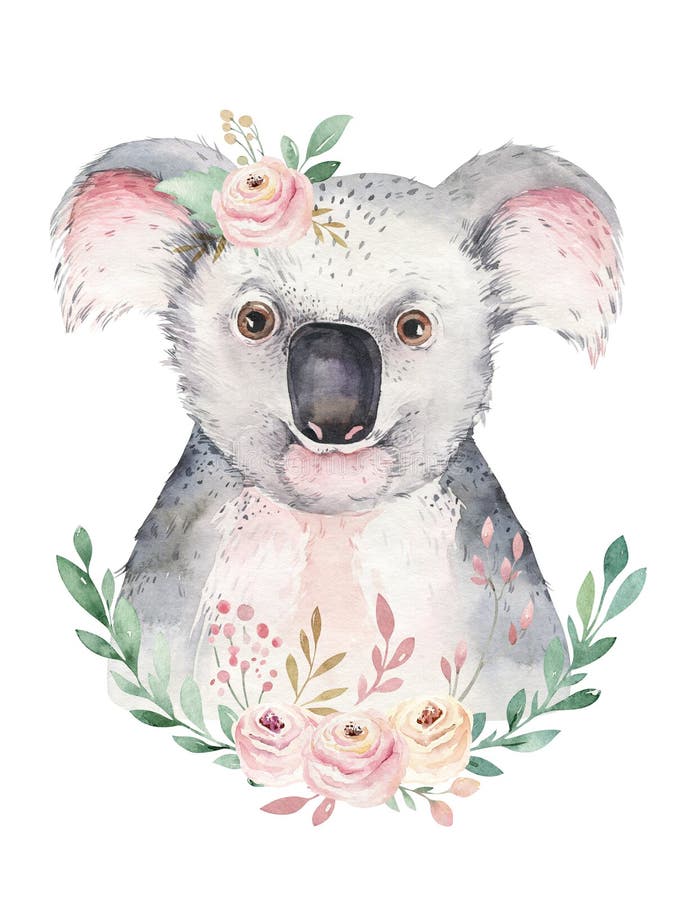 Un cartel con una koala Ejemplo animal tropical de la koala de la historieta de la acuarela Impresi?n ex?tica del verano de la se fotos de archivo Un cartel con una koala Ejemplo animal tropical de la koala de la historieta de la acuarela Impresi?n ex?tica del verano de la se fotos de archivo