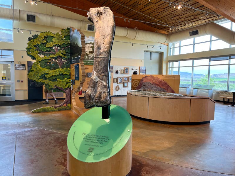 Vernal, UT USA - June 7, 2023: An informational sign telling about the dinosaur bones at Dinosaur National Monument near Vernal, Utah in the USA. Vernal, UT USA - June 7, 2023: An informational sign telling about the dinosaur bones at Dinosaur National Monument near Vernal, Utah in the USA