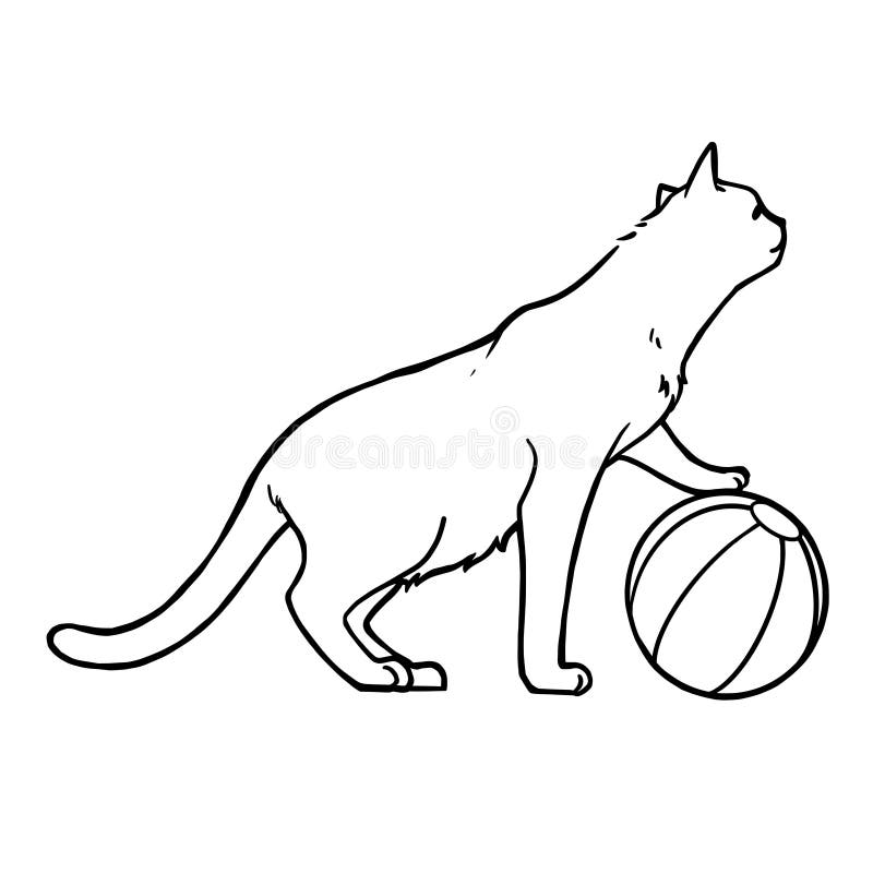 Un Chat Qui Joue Une Balle Peinture A L Encre Noire De Main De Personnage De Dessin Anime De Schema Pour La Decoration De Livre D Illustration De Vecteur Illustration Du Domestique