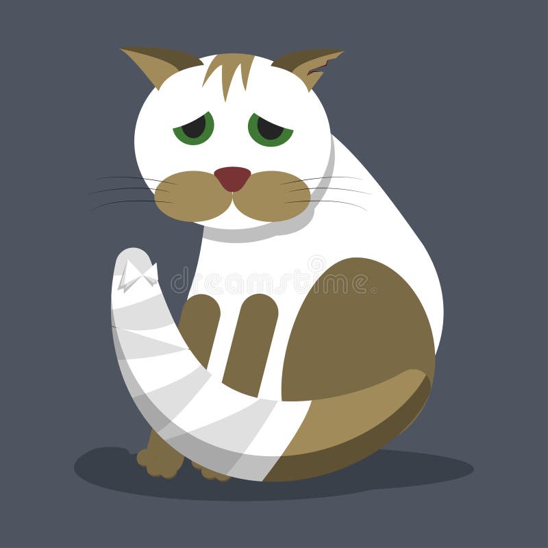 Un Chat Sans Abri Blesse De Chat Avec Une Queue Bandee Et Une Oreille Dechiree Illustration De Vecteur Illustration Du Fond Domestique Un Chat Sans Abri Blesse De Chat Avec Une Queue Bandee Et Une Oreille Dechiree Illustration De Vecteur Illustration Du Fond Domestique