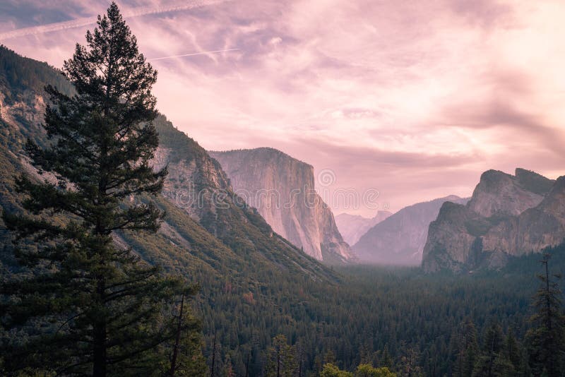 Un ciel rose au-dessus de parc national de Yosemite image stock Un ciel rose au-dessus de parc national de Yosemite image stock