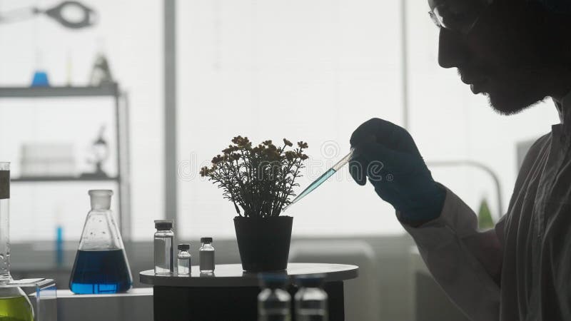Un científico trabaja en el laboratorio. un hombre usa una pipeta para agregar un químico azul a una planta maceta. vista lateral metrajes