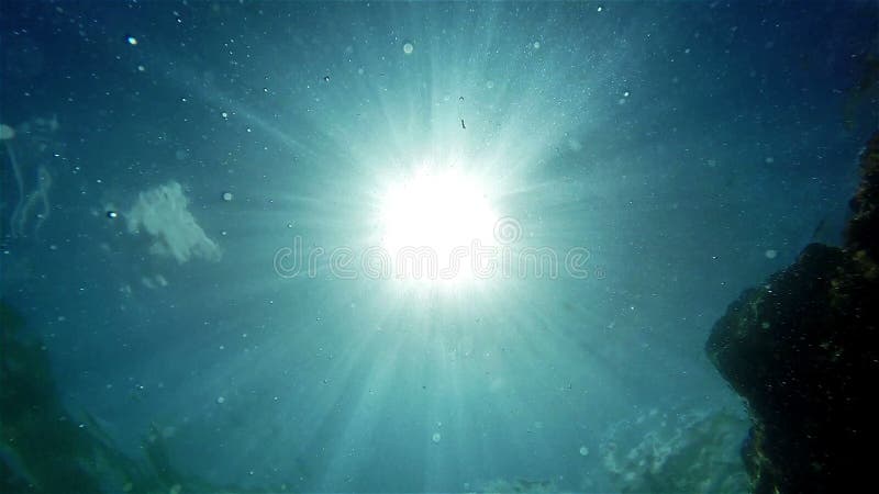 Un colpo subacqueo di un uomo di nuoto contro sole luminoso video di movimento lento