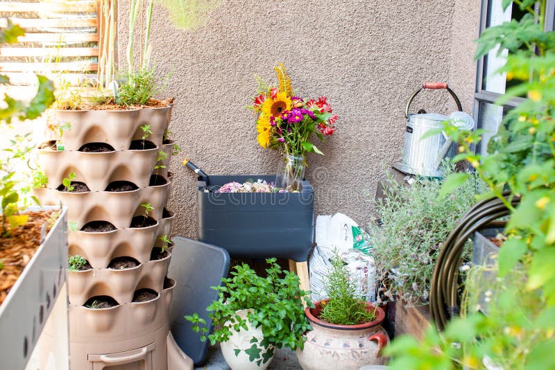 https://thumbs.dreamstime.com/b/un-composteur-de-ver-du-syst%C3%A8me-vermicompostage-est-assis-sur-balcon-avec-terrasse-rempli-l%C3%A9gumes-d-herbes-et-fleurs-une-tour-229572521.jpg