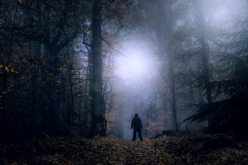 A mysterious concept edit. A lone figure standing on a forest path on a spooky misty night looking at lights in the sky. With a high contrast edit. A mysterious concept edit. A lone figure standing on a forest path on a spooky misty night looking at lights in the sky. With a high contrast edit.