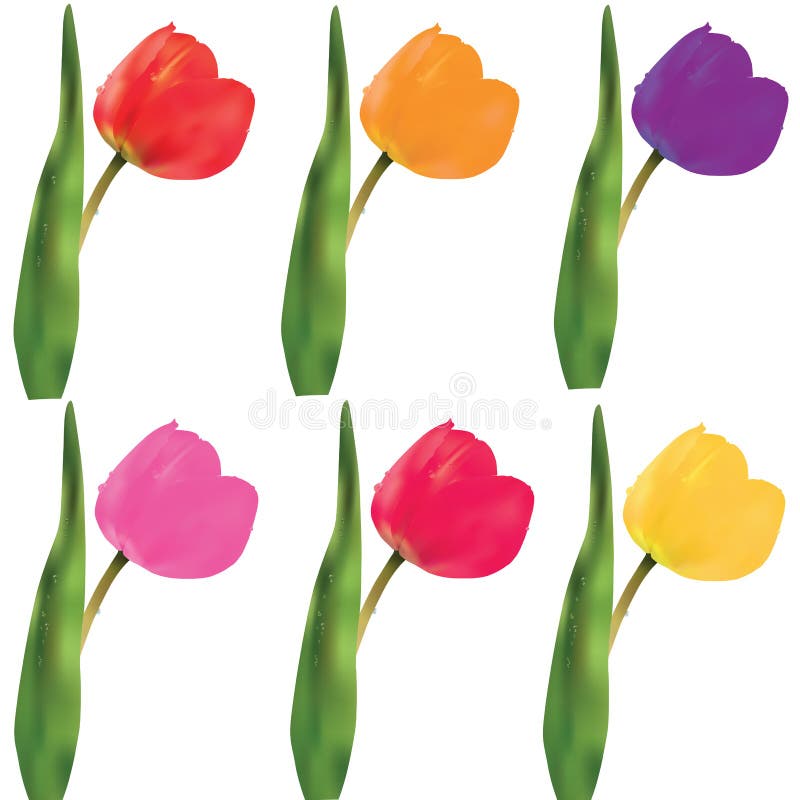Un Conjunto De Tulipanes Vector Ilustración Del Vector Ilustración