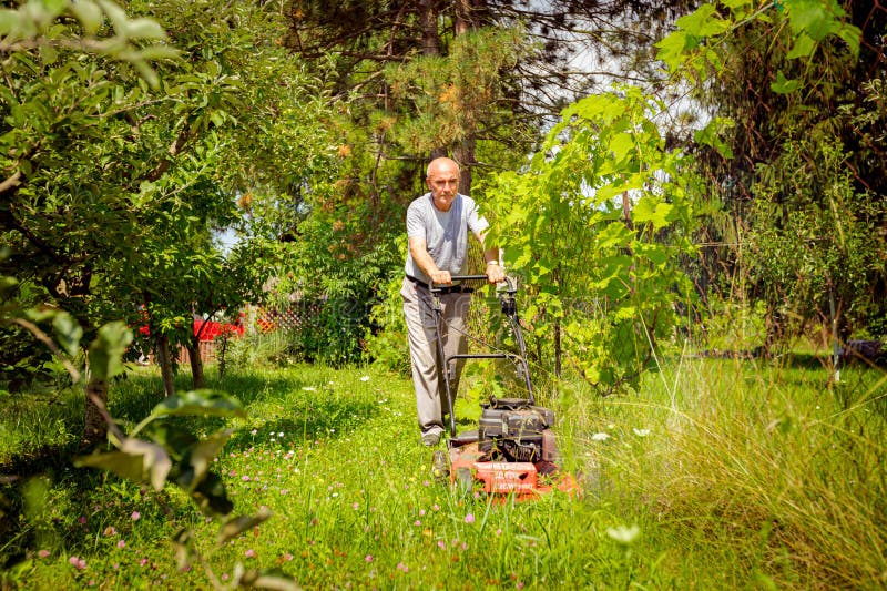 Un Contadino Falciata in Giardino Con Una Falciatrice a Benzina Fotografia  Stock - Immagine di coltivi, motore: 276091392