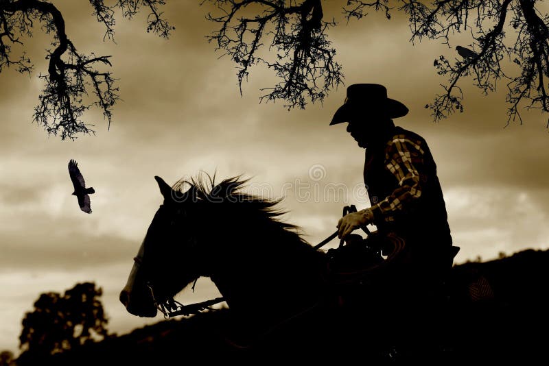 Un cowboy, un cheval et des oiseaux dans la sépia. images libres de droits Un cowboy, un cheval et des oiseaux dans la sépia. images libres de droits